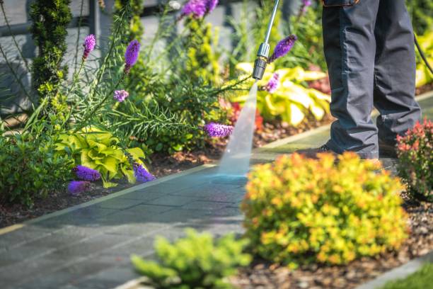 Best Driveway Pressure Washing  in Selma, CA